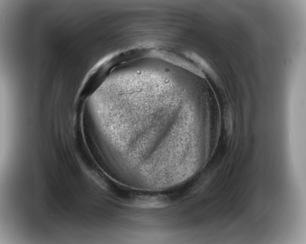 X0000086230488200704121918