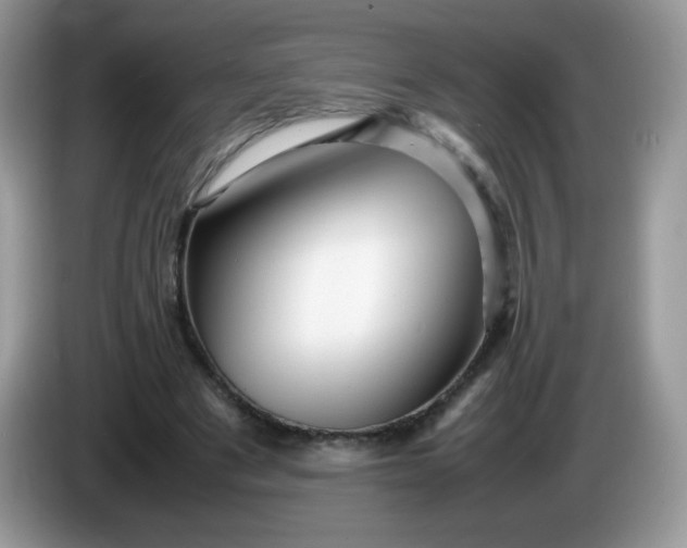 X0000086230489200704121918