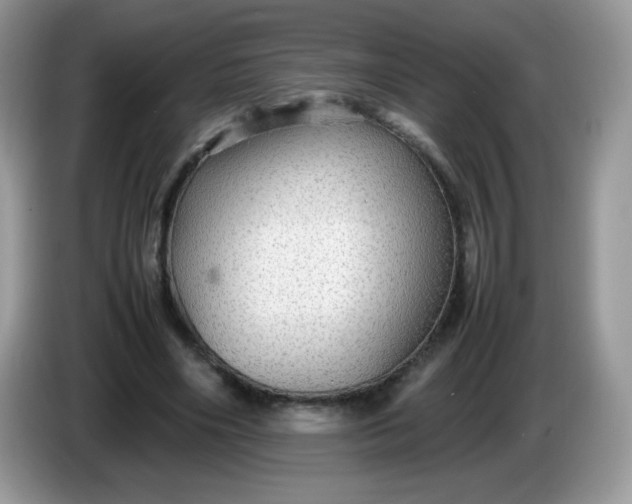 X0000086230490200704121918