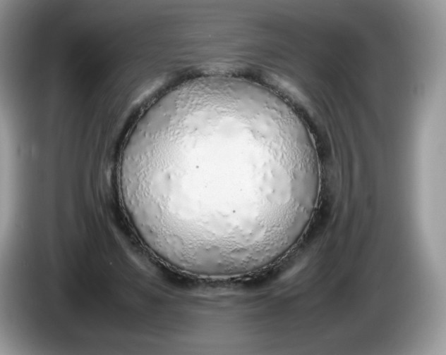 X0000086230491200704121918