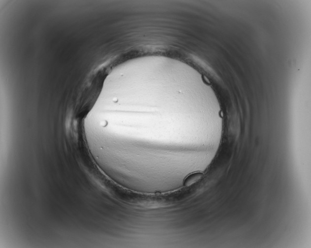 X0000086230494200704121918