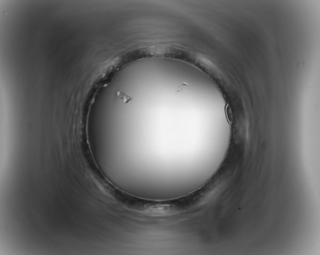 X0000086230497200704121918