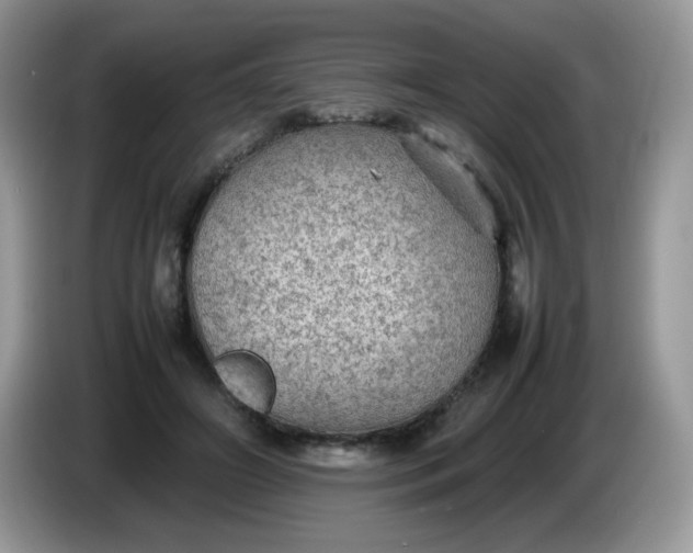 X0000086230498200704121918