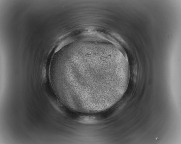 X0000086230500200704121918