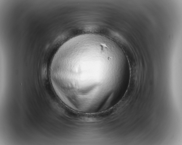 X0000086230502200704121918