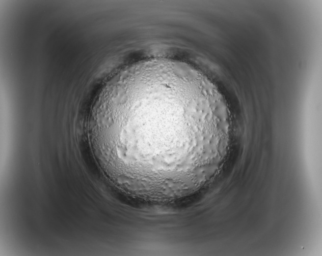 X0000086230503200704121918