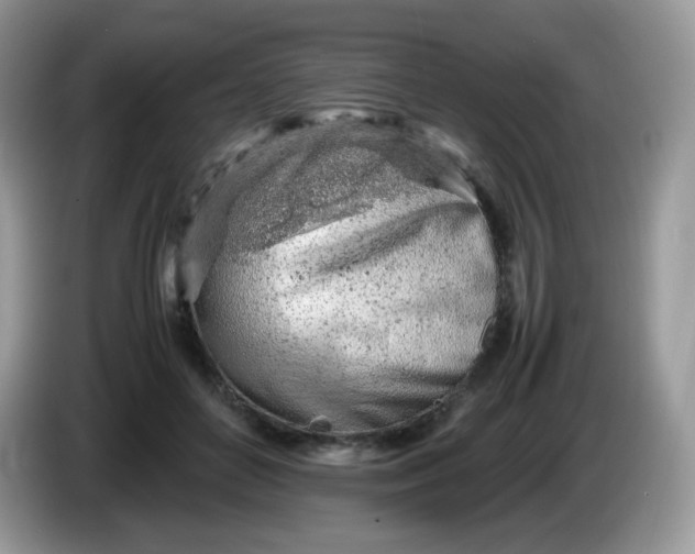 X0000086230504200704121918