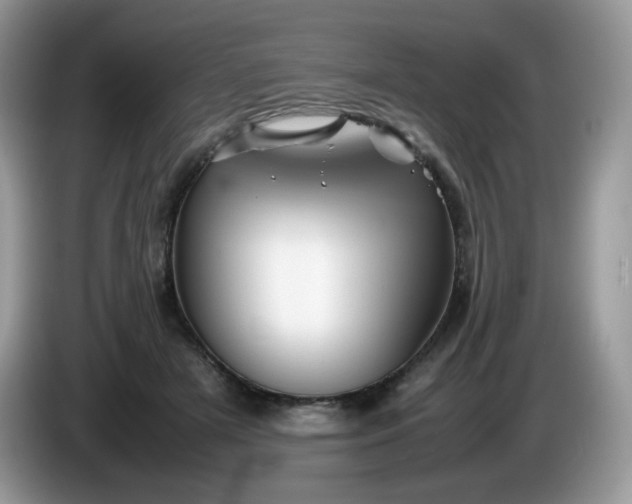 X0000086230505200704121918