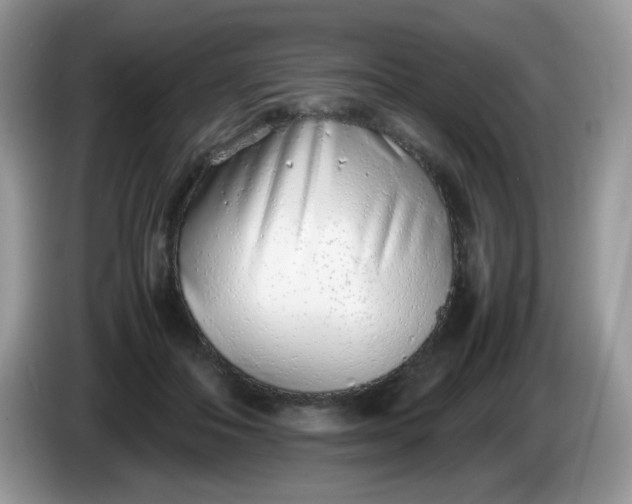 X0000086230506200704121918