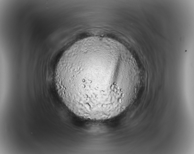 X0000086230507200704121918