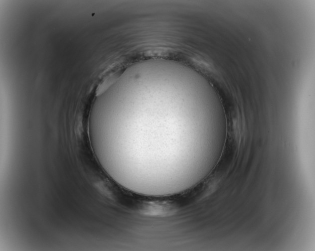 X0000086230508200704121918