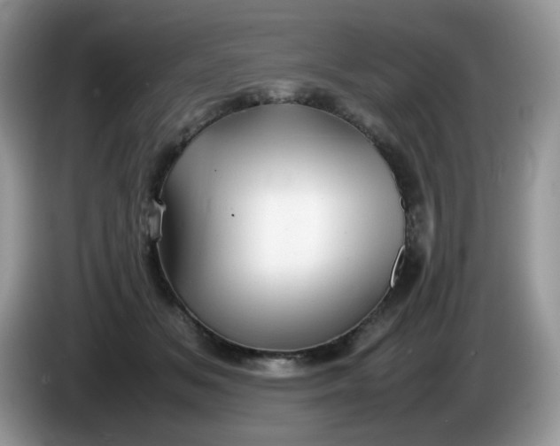 X0000086230509200704121917