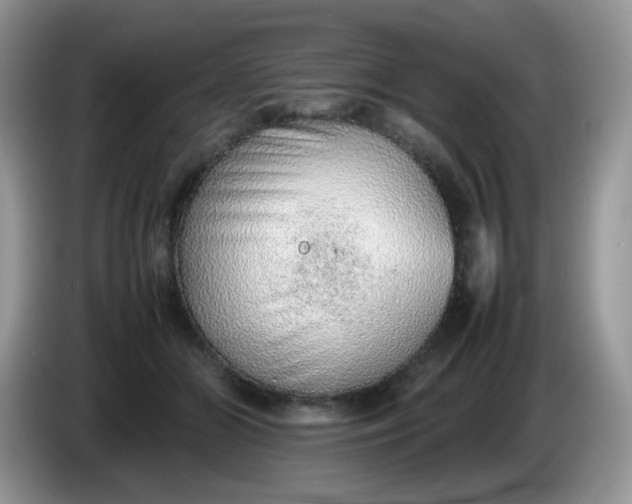 X0000086230510200704121917