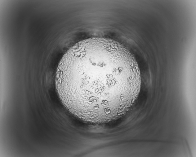 X0000086230511200704121917