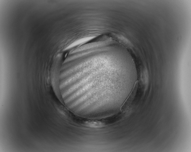 X0000086230512200704121917