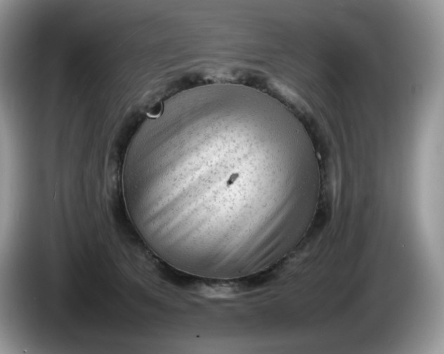 X0000086230513200704121917