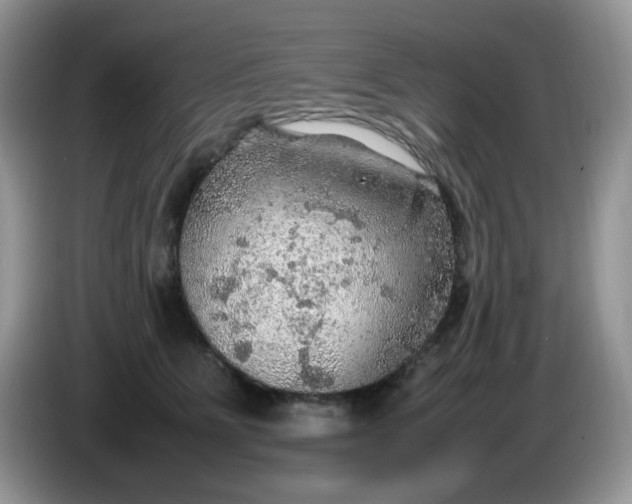 X0000086230515200704121917