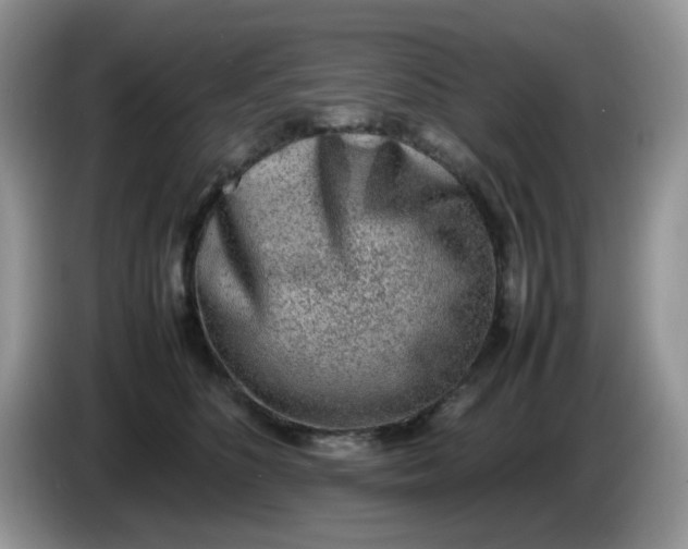 X0000086230516200704121917