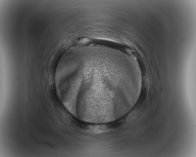 X0000086230517200704121917