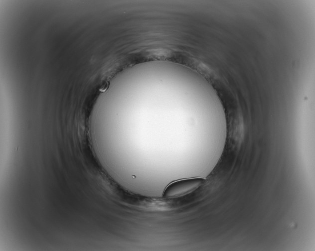 X0000086230518200704121917