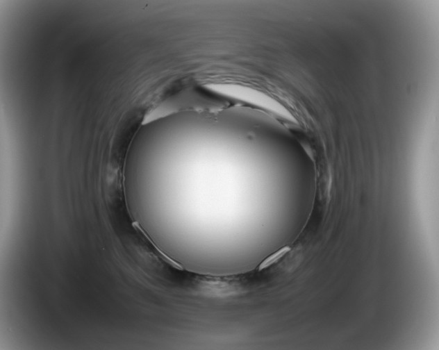 X0000086230521200704121917