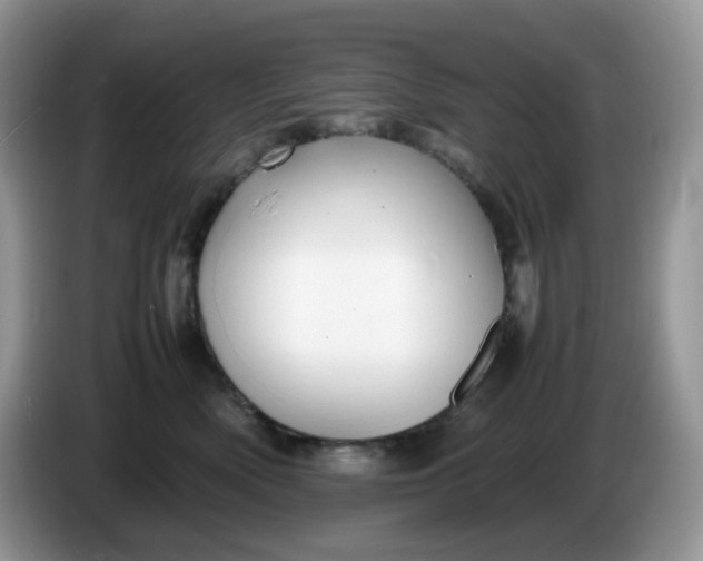 X0000086230522200704121917