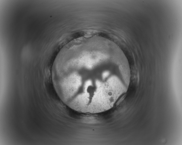 X0000086230523200704121917