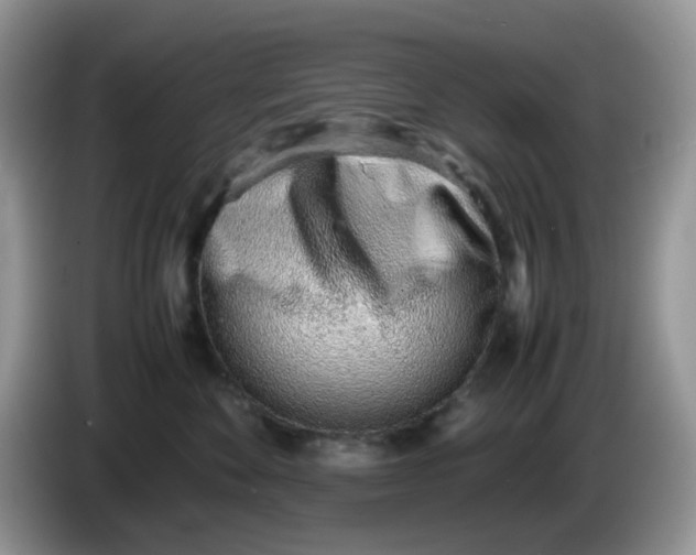 X0000086230524200704121917