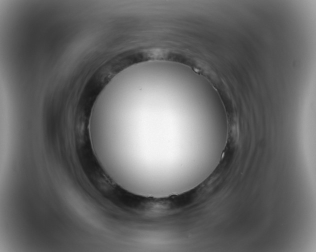 X0000086230525200704121917