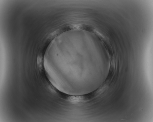 X0000086230526200704121917