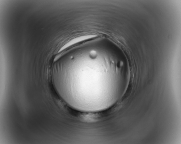 X0000086230527200704121917