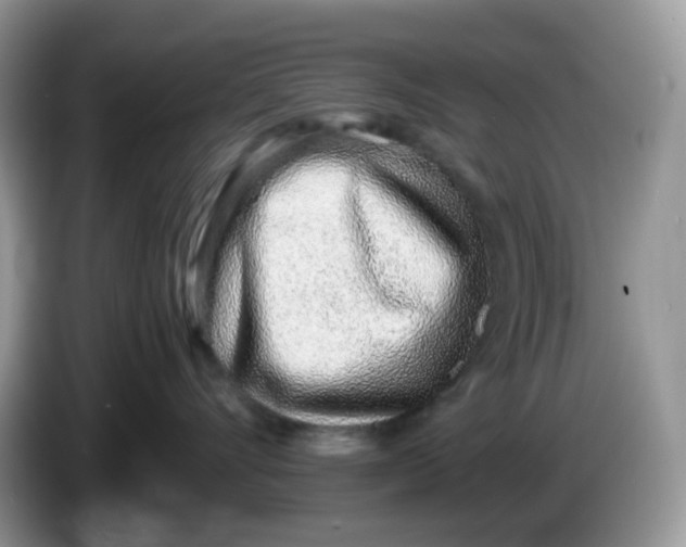 X0000086230528200704121917