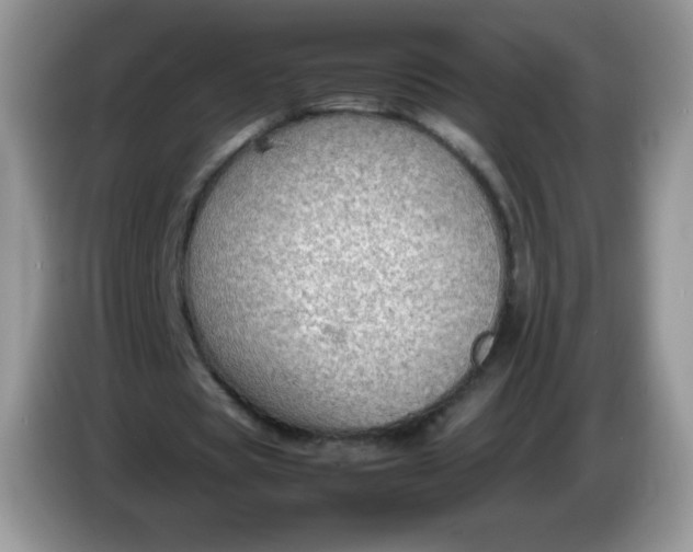 X0000086230529200704121917