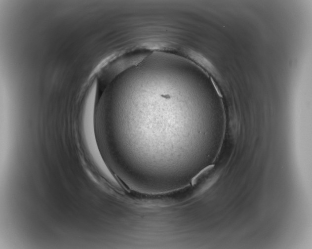 X0000086230530200704121917