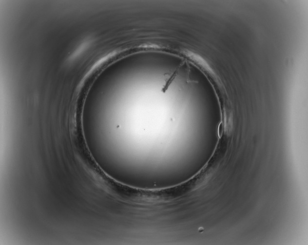 X0000086230531200704121917