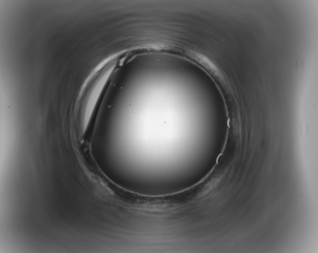 X0000086230532200704121917