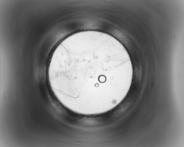 X0000086230534200704121917