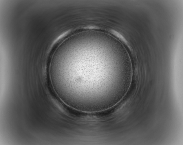 X0000086230535200704121917