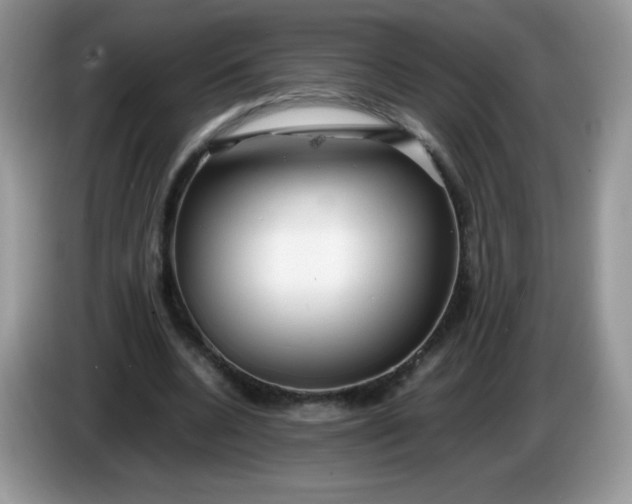 X0000086230536200704121917