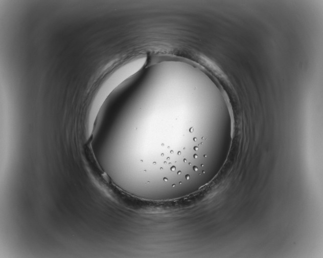 X0000086230538200704121917