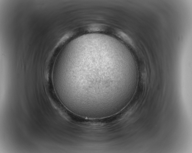 X0000086230539200704121917