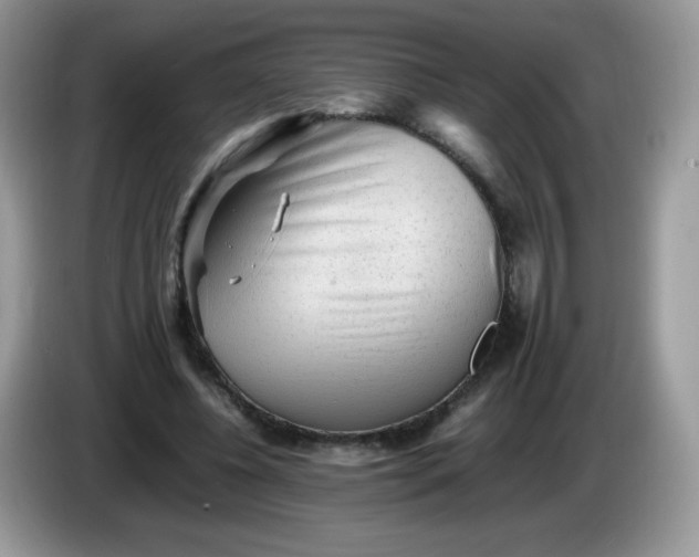 X0000086230540200704121917