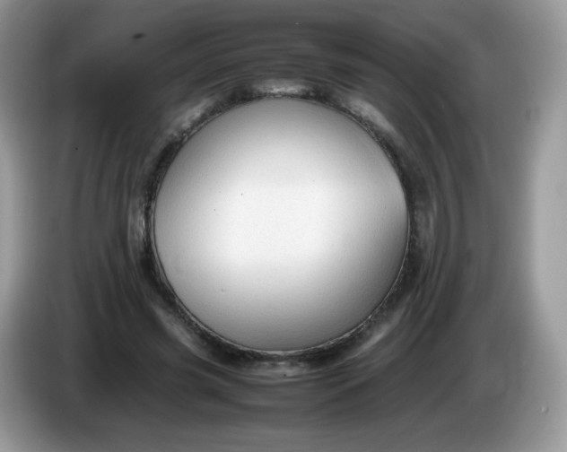 X0000086230541200704121917