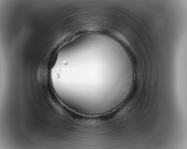 X0000086230542200704121917