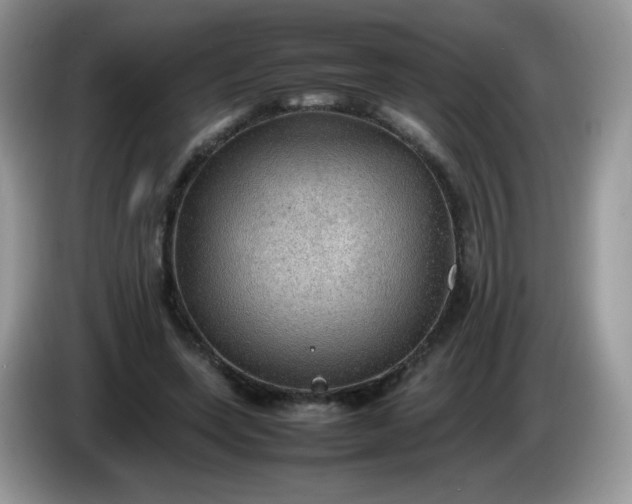 X0000086230543200704121917