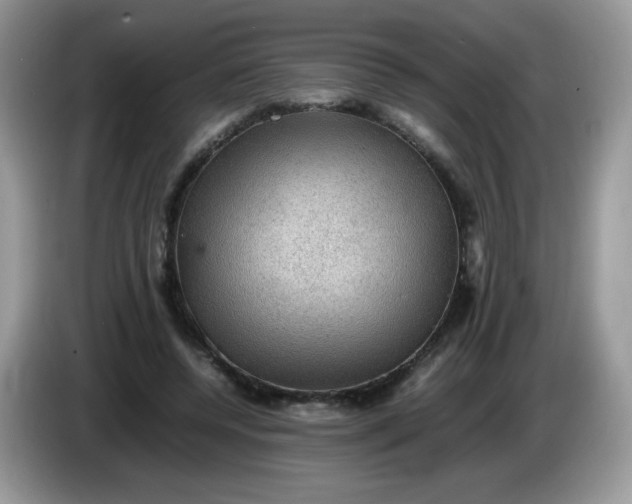 X0000086230544200704121917