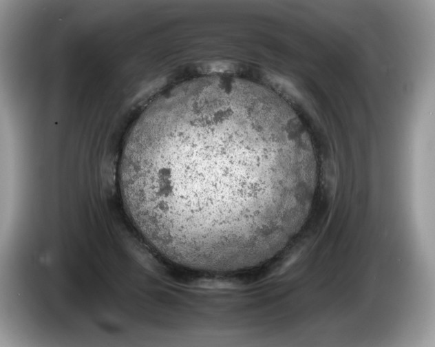 X0000086230545200704121917