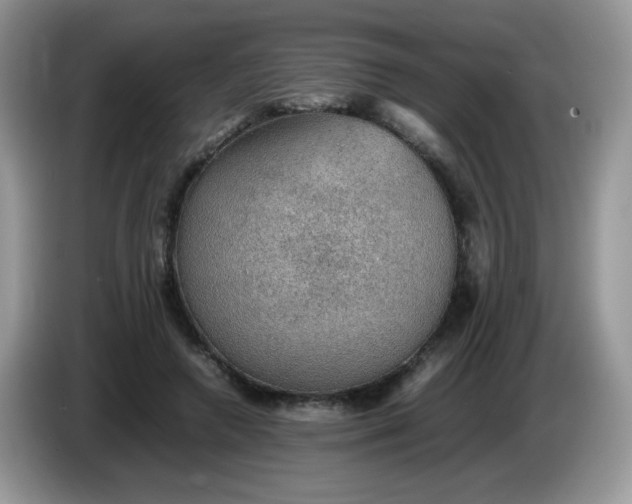 X0000086230546200704121917