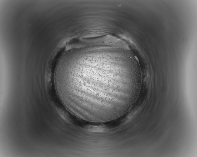 X0000086230548200704121917