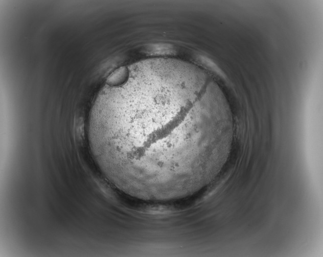 X0000086230549200704121917